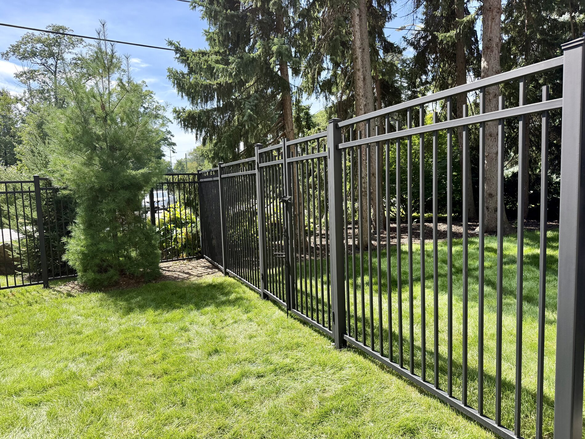 1654 Birchwood Drive — completed metal-fenced privacy yard